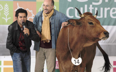 TV – La vache – Jeudi 15 avril – France 3