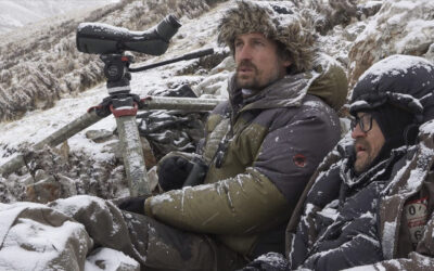 En salle – La panthère des neiges – (En)quête) introspective