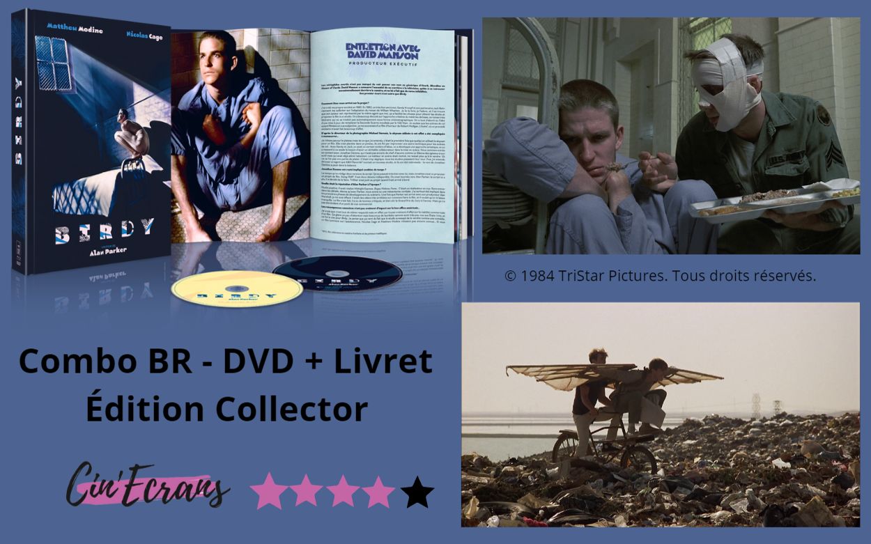 Birdy d’Alan Parker, Envole-moi… - Cin'Ecrans