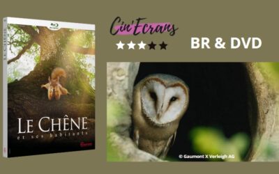 Voyage sensoriel avec Le chêne et ses habitants