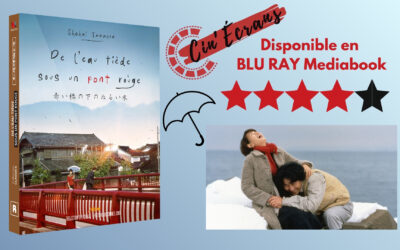 De l’eau tiède sous un pont rouge – Un dernier film malicieux !